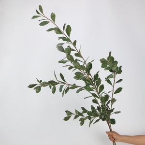 Nouvelle Arrivée 2026 – Feuilles de Citron Artificielles à Longue Tige 112cm, Feuilles de Ruscus Artificielles Vertes en Latex pour Décoration Maison et Mariage - Product Image 1