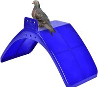 Support de perchoir de Pigeon écologique en plastique détachable bleu de haute qualité 20x10cm pour accessoires de perroquets et d'oiseaux