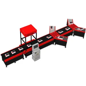 Auto Sorting Machine Warehouse Sorting System Warehouse Equipment Logistic Sorted Parcel Sorter