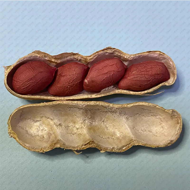 Wholesale sells high-quality red skin raw peanuts at a reasonable price