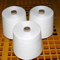 Fil 100% polyester, haute élasticité, haute ténacité, filé, 5-28S 440-2750, pour broderie et couture