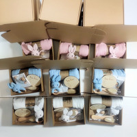 Coffret de bienvenue pour bébé personnalisé avec cartes de développement, hochet en crochet, brosse, attache-tétine, couverture en mousseline et ensemble cadeau décoratif
