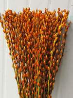 Fleur de saule argenté naturelle stabilisée pour la décoration intérieure, idéale pour le Festival du Printemps, le Nouvel An, la Saint-Valentin, Pâques, la Fête des Mères, Noël et autres occasions.