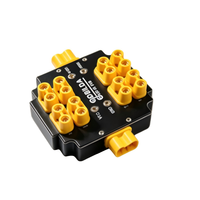 Module PCBA de batterie externe 300A HL80007 pour drone FPV, quadricoptère, ESC, fabriqué à Guangdong, marque HL