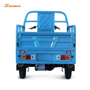 KAMAX Hot Sale 1500w Electric Tricycle Cargo 3 Wheel Motorcycle Rear Axle Tuk Tuk for Sale