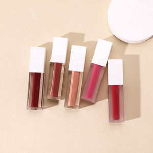<span class=keywords><strong>Vegan</strong></span> Create Private Label Cosméticos Lápiz labial rojo Lápiz labial cremoso Venta al por mayor Lápiz labial líquido mate Brillo de labios brillante - Product Image 4