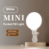 Mini lampe d'appoint USB rechargeable blanche et portable personnalisée Lampe à pince à selfie rose pour téléphone