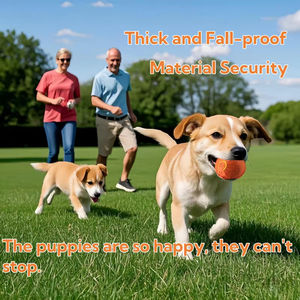 Köpek oyuncak top desen eşlik yürüyüş köpek topu aracı katı elastik top akıllı köpek oyuncak Pet interaktif spor oyuncak - Product Image 5