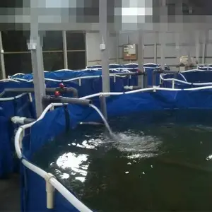 Collapsible PVC fabric large circulating aquaculture tanks