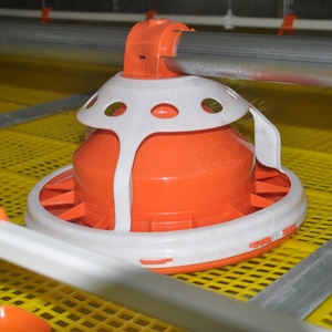 New H Loại Một Loại Hoàn toàn Tự Động Nhúng Nóng Mạ Kẽm Gia Cầm Gà Thịt Và Lớp Lồng Với Năng Suất Cao Cho Gà Trang Trại - Product Image 5