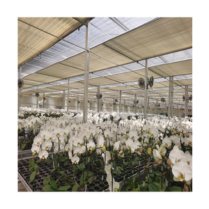 Invernadero <span class=keywords><strong>de</strong></span> flores <span class=keywords><strong>de</strong></span> rosas/orquídeas Invernaderos agrícolas comerciales <span class=keywords><strong>Casa</strong></span> verde en venta - Product Image 3
