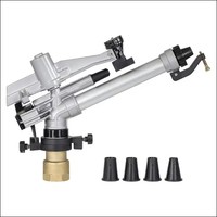 Canon d'arrosage robuste de 2 pouces à bras oscillant pour l'irrigation agricole de grandes surfaces