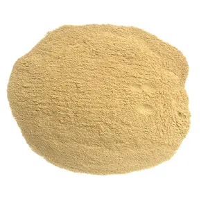 Feed Yeast protein for poultry fish shrimp cattle protein feed grade