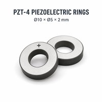Élément transducteur ultrasonique en céramique piézoélectrique 10 * 5 * 2 mm pour détartreur dentaire, éliminateur de plaque dentaire, nettoyage buccal