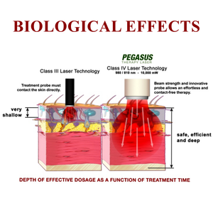 เครื่องเลเซอร์บำบัดสัตว์ 4 ความยาวคลื่น 650nm 810nm 980nm 1064nm อุปกรณ์เลเซอร์สำหรับสัตวแพทย์ GIGAA Laser - Product Image 6