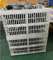 Caisse à fruits et légumes en polypropylène ventilée, pliable, empilable, écologique, avec roulettes