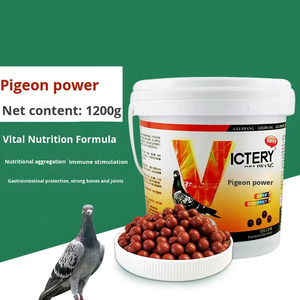 Hot Sale <strong>Pigeon</strong> Health Performance <strong>Supplement</strong> for Young &amp; Breeding <strong>Pigeons</strong> 1200 Pills Growth Body Development &amp; Moulting Booster - Product Image 1