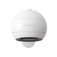 Bac à litière automatique intelligent en plastique pour chat, grand format, autonettoyant, avec reconnaissance multi-chats, vidage à un bouton, silencieux et anti-odeurs, facile à utiliser