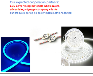 Módulo LED Pequeño Impermeable IP68 de 12V CC y 0.4W con Opciones de Luz Blanca Cálida y Azul/Amarilla para Retroiluminación de Mini Letreros - Product Image 6