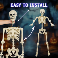 Articulations mobiles Os humains Corps entier Plastique effrayant 165cm Squelette d'Halloween pour décoration de fête d'Halloween