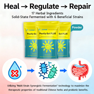 Additif alimentaire probiotique à base de plantes fermentées Chenyuan Changkang pour volailles, réparation de la muqueuse <span class=keywords><strong>intestinale</strong></span>, arrêt de la <span class=keywords><strong>diarrhée</strong></span> - Product Image 2