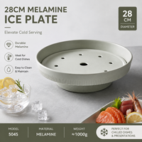 Assiette en mélamine effet glace sèche, gris spatial mat, fumé, durable, pour service à domicile, cocktails, desserts, incassable