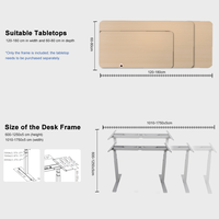 Bureau debout électrique à double moteur 2AF3, table ergonomique réglable en hauteur pour bureau de direction