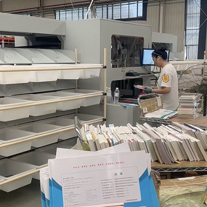 Sistema di Smistamento 3D Truelisort Servizio di Produzione OEM per Logistica di Corrieri Elaborazione Rapida degli Articoli - Product Image 4