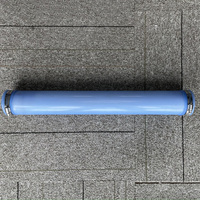 Diffuseur de tuyau à bulles fines 500 mm 750 mm 1000 mm ou longueur personnalisée Diffuseur de tuyau d'air Aérateur Membrane en caoutchouc EPDM/silicone
