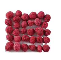 Frambuesas Liofilizadas de Temporada, Totalmente Orgánicas, Frambuesas Secas Liofilizadas, Frambuesas Frescas Liofilizadas