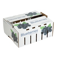 Boîtes en carton pour fruits (pommes, oranges, myrtilles, cerises, avocats) – 1000 boîtes de myrtilles pour 5 et 10 livres