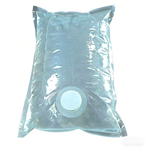 Sacs en plastique transparents PE écologiques et recyclables de 1L, 3L, 5L, imprimés en héliogravure, étanches, avec valve BIB pour bière et <span class=keywords><strong>champagne</strong></span> - Product Image 1