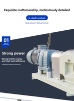 Pompe à lobes rotative 380V pour transfert de liquides hautement visqueux, pompe sanitaire pour liquides cosmétiques et chocolatiers