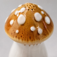 Ensemble de salières et poivrières en céramique peintes à la main en forme de champignon, design vintage créatif et adapté aux enfants, avec couvercle étanche