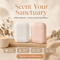 Diffuseur de parfum pour voiture en petite quantité, faible MOQ, vente en gros, OEM, ODM, désodorisant d'ambiance à brume froide avec capteur et couvercle, pour détaillants de boutiques de cadeaux