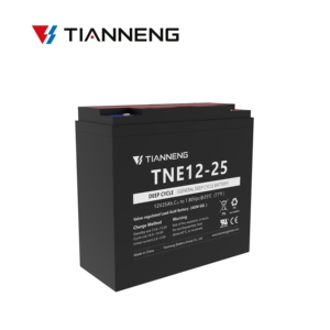 Tianneng TNE 12-25 دورة عميقة عامة 12 فولت 25ah e بطارية الرصاص الحمضية للدراجة - Product Image 2