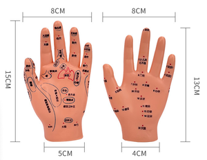 टीसीएम शिक्षण मॉडल सटीक Acupoint शिक्षण हाथ मॉडल अनुशासन मालिश एक्यूपंक्चर प्रशिक्षण हाथ मॉडल चित्र परमवीर चक्र सामग्री - Product Image 2
