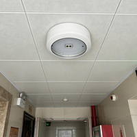 IP65 LED Mehrlinsen-Deckenleuchte mit Austauschbarer Abdeckung Kleine Kunststoff-Notbeleuchtung CE-Zertifiziert Lithium-Batterie 270 Lumen 3 Stunden