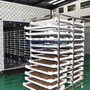 Manufacturer-Priced Vegetable Drying Room Black Fungus Dehydrator Equipment Black Fungus Drying Oven Room - Product Image 1
