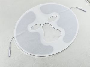 Nueva llegada fisioterapia EMS corrientes rusas implementos/micro corriente eletrodos máquina de fisioterapia - Product Image 4