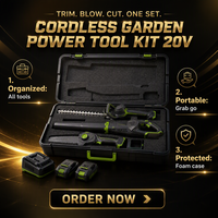 Kit d'outils de jardinage sans fil 20V 3 en 1 : taille-haie, souffleur de feuilles, scie de taille-arbre avec batteries, chargeur et étui