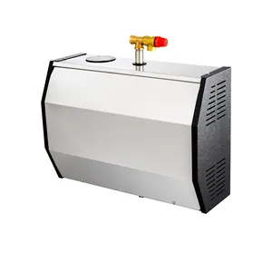 3KW 4.5KW 6KW 9KW sauna equipment sauna machine steam bath generator machine steam room steam bath machine