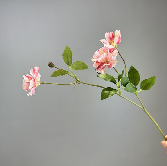 Rose pink