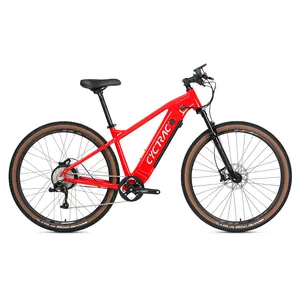 Quadro de liga de alumínio para bicicleta, motor elétrico personalizado de bicicleta e bike de montanha 350w e 29er