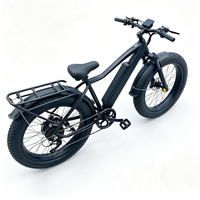 Bicicleta Eléctrica Compacta para Uso Diario, 350W 48V 10.4AH, E-bike de Fábrica China para Paseos por la Playa