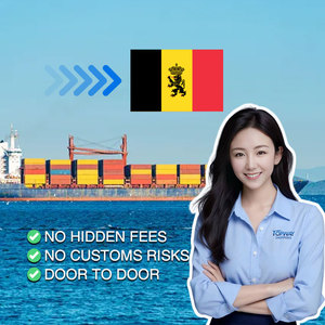 Frete marítimo eficiente da China para a Bélgica com toda a logística coberta - Product Image 1
