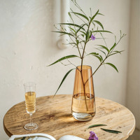 Vase à fleurs en verre transparent simple, style nordique, élégant récipient floral, décoration de table pour la maison