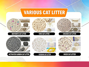 Litière pour <span class=keywords><strong>chat</strong></span> en bentonite 99,9 % sans poussière, qualité supérieure, forte absorption, contrôle des odeurs pour chats d'intérieur, prix d'usine - Product Image 2