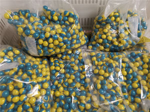 Balles de Paintball de qualité professionnelle 0.68 Cal PEG pour le dosage rempli de poudre colorée de tir en plein air - Product Image 4