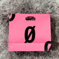Sac Cadeau en Papier Kraft de Luxe Personnalisé pour Vêtements, avec Impression Numérique, Fermeture Magnétique, Poignées Ruban et Logo